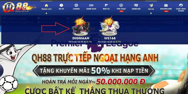 Qh88 quy tụ đa dạng chương trình khuyến mãi, ưu đãi khác nhau